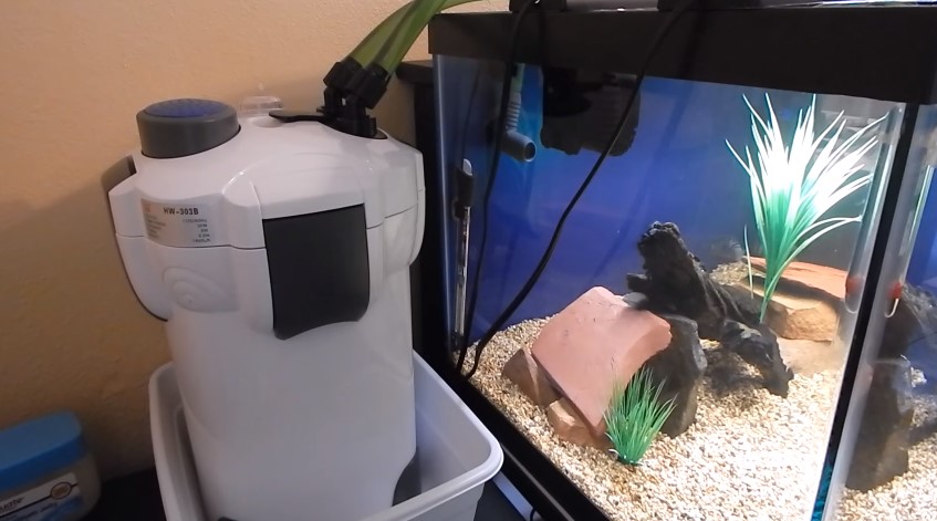 How to Set Up a Canister Filter for Aquarium