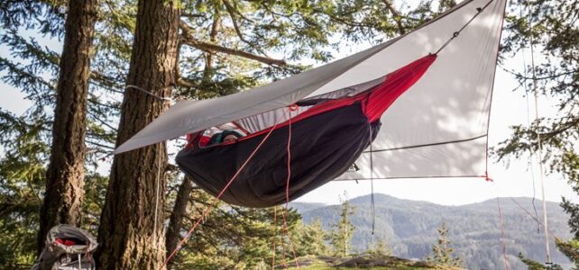 How to Choose a Hammock for Backyard?