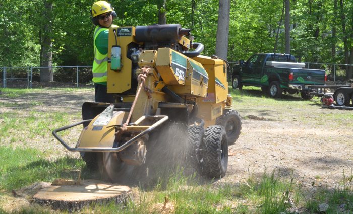 stump grinding