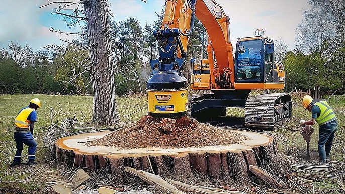 stump grinding