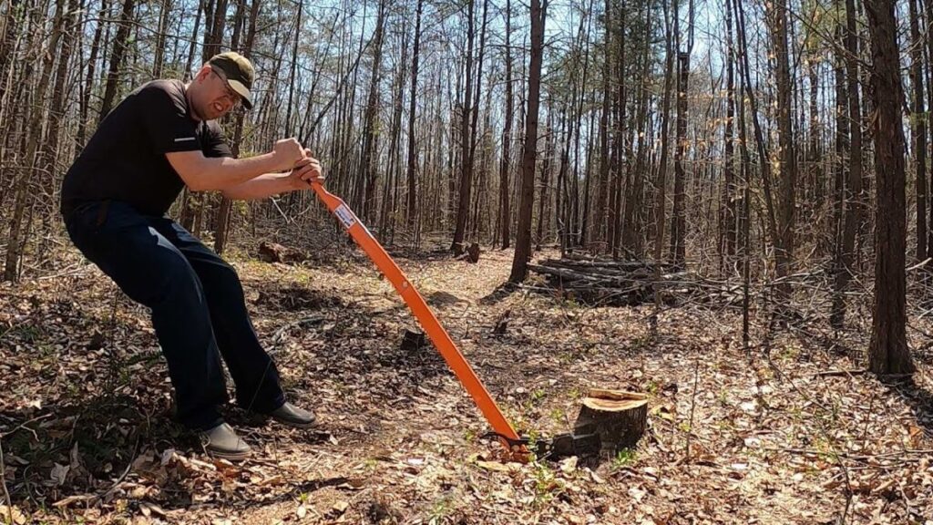 stump grinding